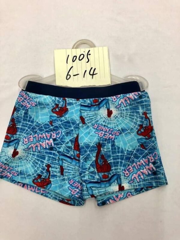 Boy Short Swimsuit (4 sizes From 8 to 14 years) # A - Mix and Max - Sizes: From 8 Y to 14 Y - Image 1