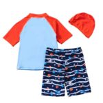 Boys 3 Pieces Swimsuit (7 sizes From 2Y to 8Y) # Mix and Max  - Image 4