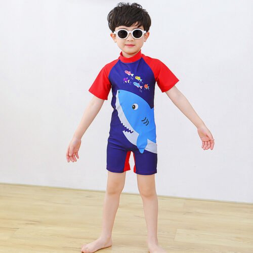 Boy Shorr Sleeves Swimsuit (4 sizes From 3 to 11 years) Mix and Max  - Image 2