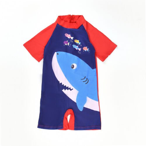 Boy Shorr Sleeves Swimsuit (4 sizes From 3 to 11 years) Mix and Max  - Image 3